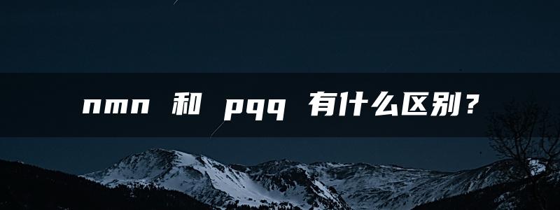 nmn 和 pqq 有什么区别？