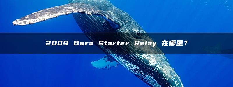 2009 Bora Starter Relay 在哪里？