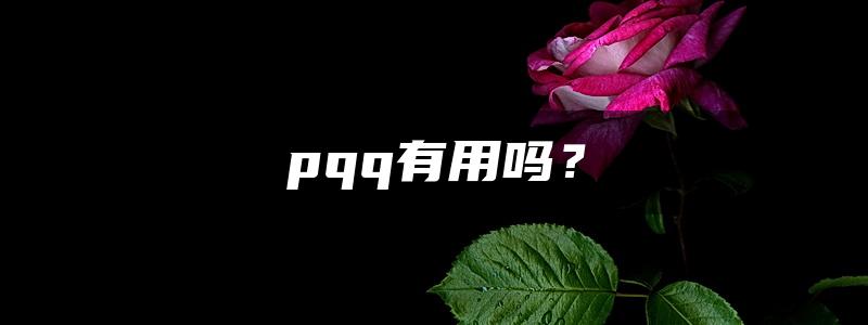 pqq有用吗？