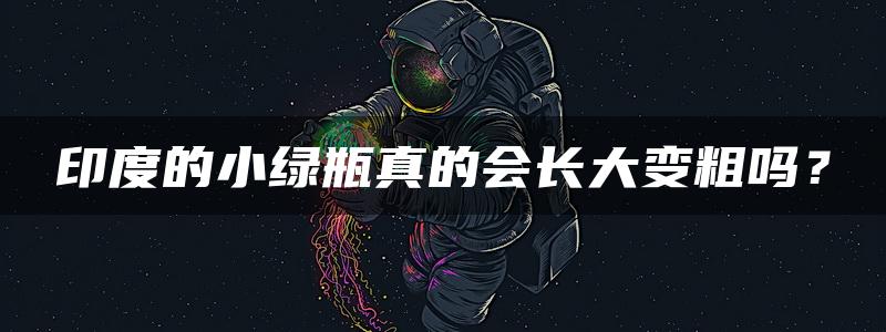 印度的小绿瓶真的会长大变粗吗？