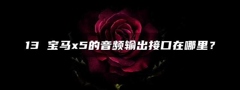 13 宝马x5的音频输出接口在哪里？