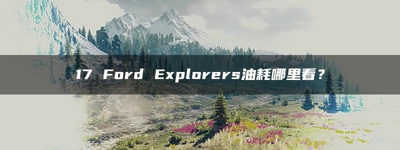 17 Ford Explorers油耗哪里看？