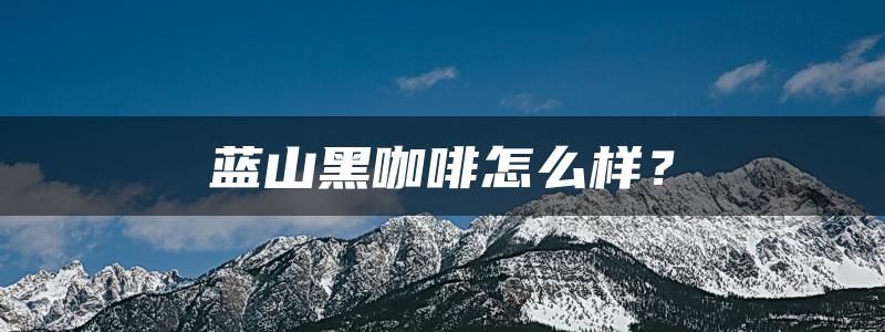 蓝山黑咖啡怎么样？