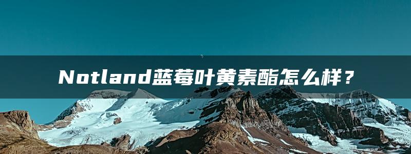 Notland蓝莓叶黄素酯怎么样？