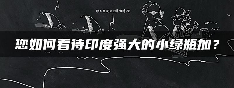 您如何看待印度强大的小绿瓶加？