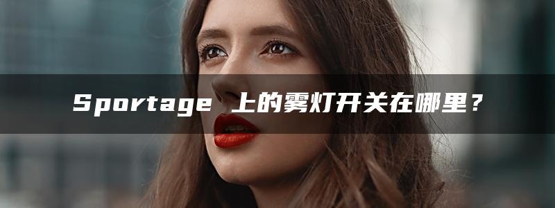 Sportage 上的雾灯开关在哪里？