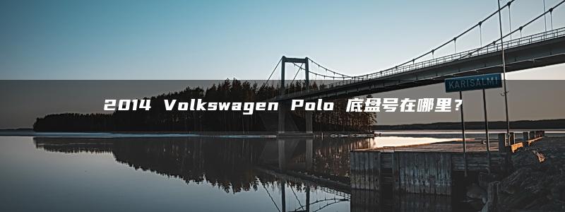 2014 Volkswagen Polo 底盘号在哪里？