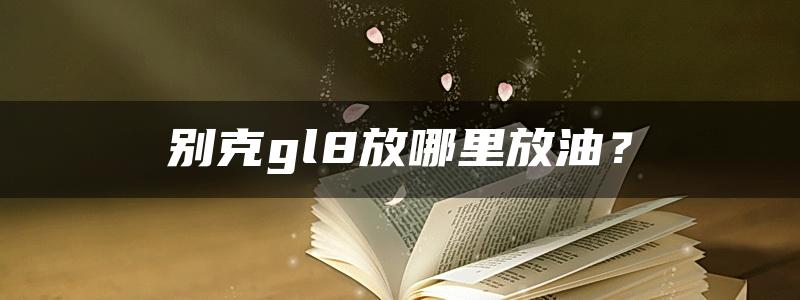 别克gl8放哪里放油？