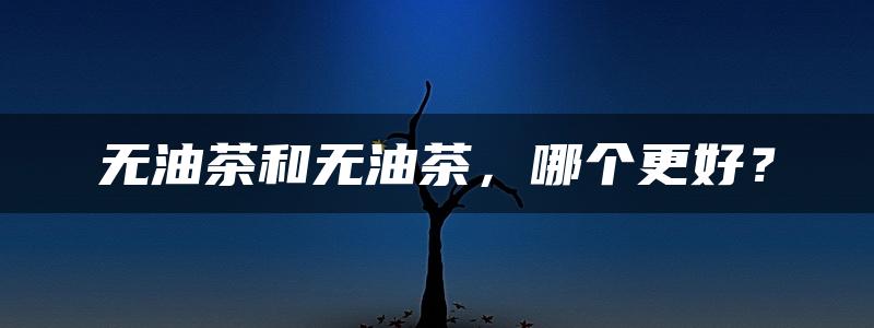 无油茶和无油茶，哪个更好？