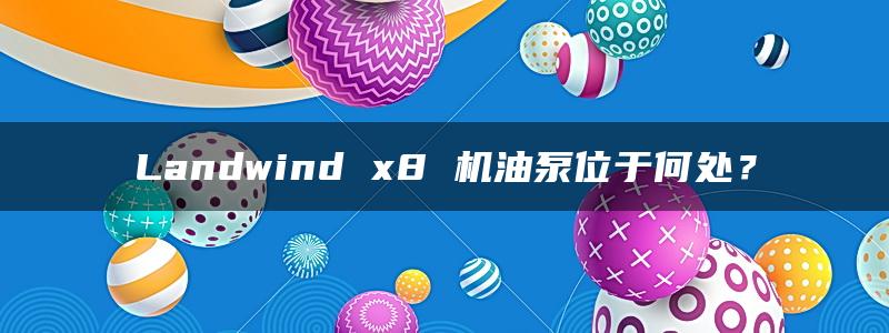 Landwind x8 机油泵位于何处？