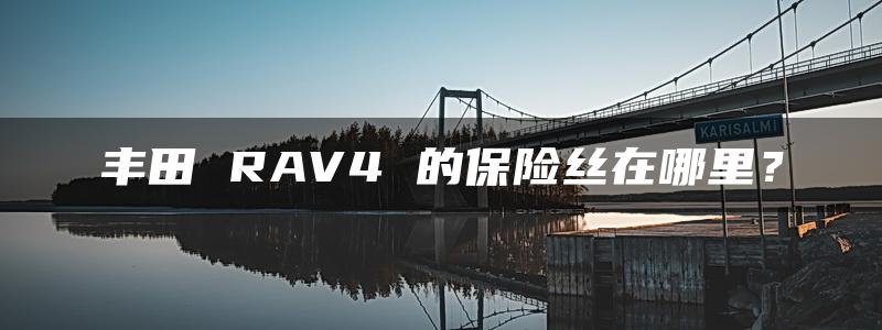 丰田 RAV4 的保险丝在哪里？