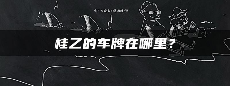 桂乙的车牌在哪里？