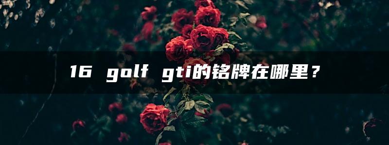 16 golf gti的铭牌在哪里？