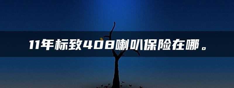 11年标致408喇叭保险在哪。