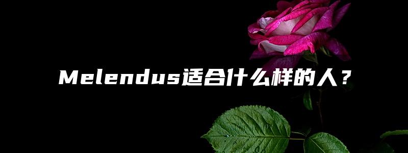 Melendus适合什么样的人？