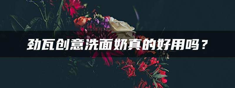 劲瓦创意洗面奶真的好用吗？