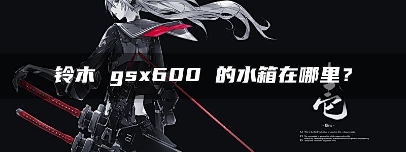 铃木 gsx600 的水箱在哪里？