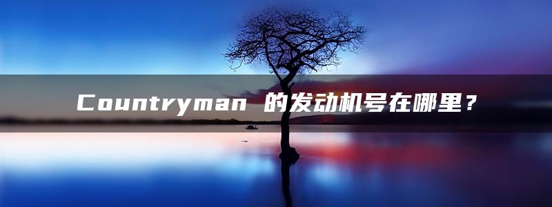 Countryman 的发动机号在哪里？