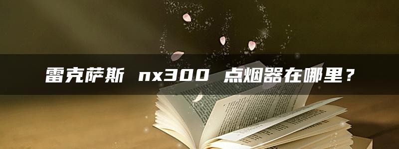 雷克萨斯 nx300 点烟器在哪里？