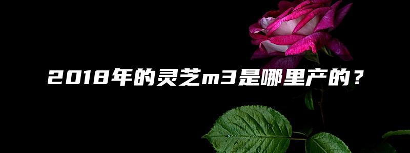 2018年的灵芝m3是哪里产的？