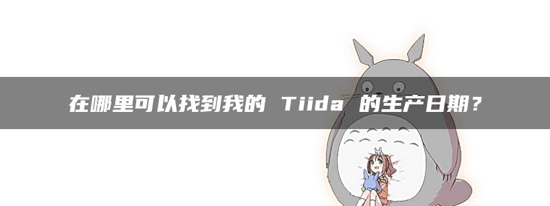 在哪里可以找到我的 Tiida 的生产日期？