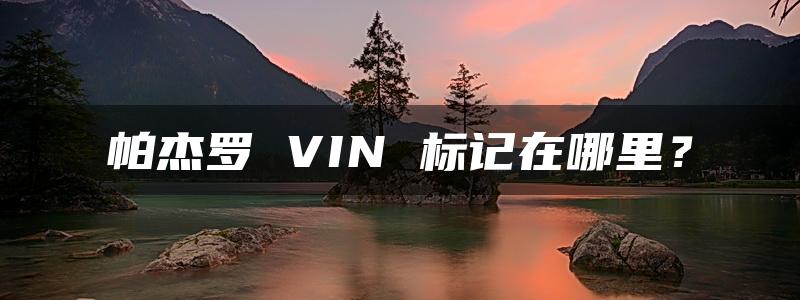 帕杰罗 VIN 标记在哪里？