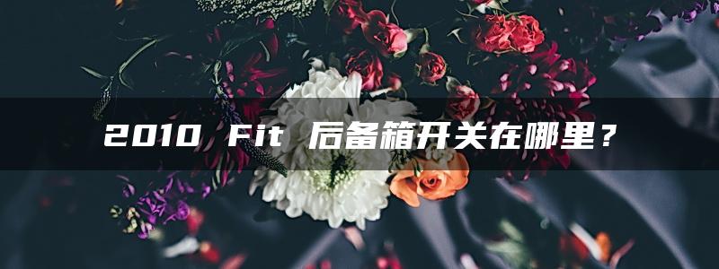 2010 Fit 后备箱开关在哪里？