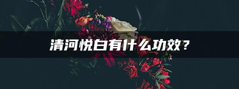 清河悦白有什么功效？