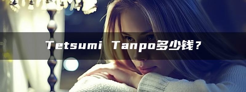 Tetsumi Tanpo多少钱？