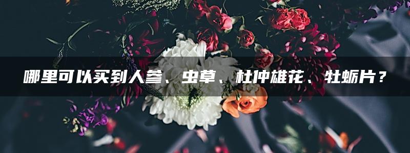 哪里可以买到人参、虫草、杜仲雄花、牡蛎片？