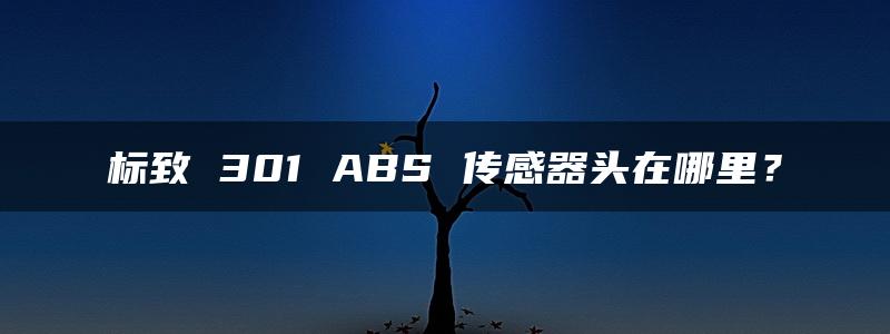 标致 301 ABS 传感器头在哪里？