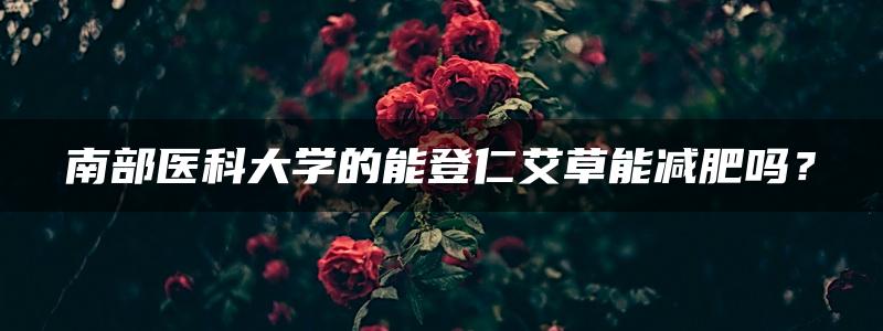 南部医科大学的能登仁艾草能减肥吗？