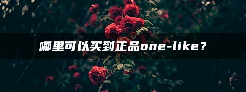 哪里可以买到正品one-like？