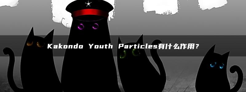 Kakondo Youth Particles有什么作用？