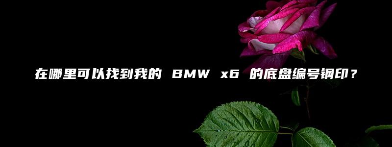 在哪里可以找到我的 BMW x6 的底盘编号钢印？