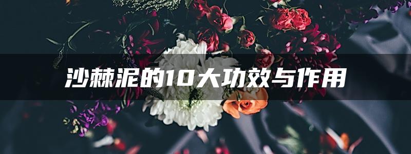 沙棘泥的10大功效与作用