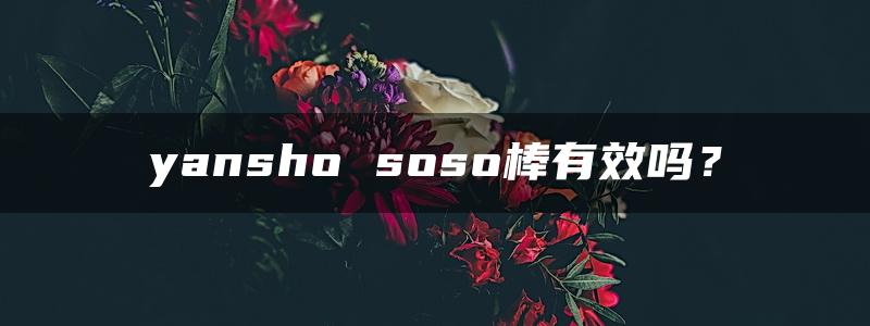 yansho soso棒有效吗？