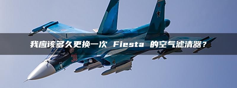 我应该多久更换一次 Fiesta 的空气滤清器？