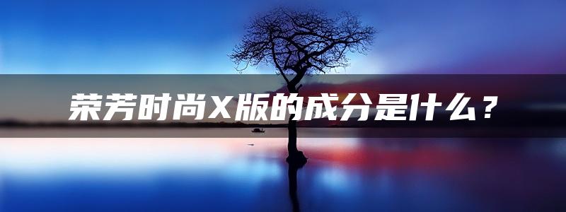 荣芳时尚X版的成分是什么？