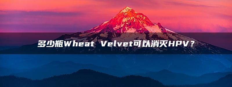 多少瓶Wheat Velvet可以消灭HPV？