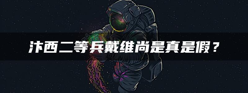 汴西二等兵戴维尚是真是假？