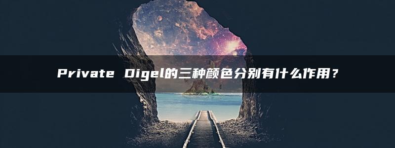 Private Digel的三种颜色分别有什么作用？