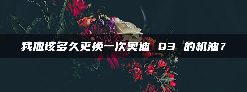 我应该多久更换一次奥迪 Q3 的机油？