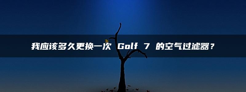 我应该多久更换一次 Golf 7 的空气过滤器？