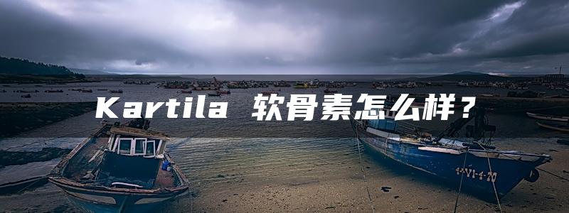 Kartila 软骨素怎么样？