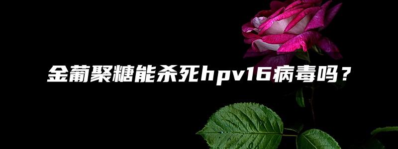 金葡聚糖能杀死hpv16病毒吗？