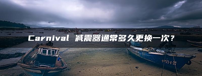 Carnival 减震器通常多久更换一次？