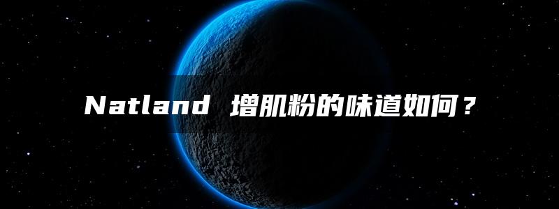 Natland 增肌粉的味道如何？