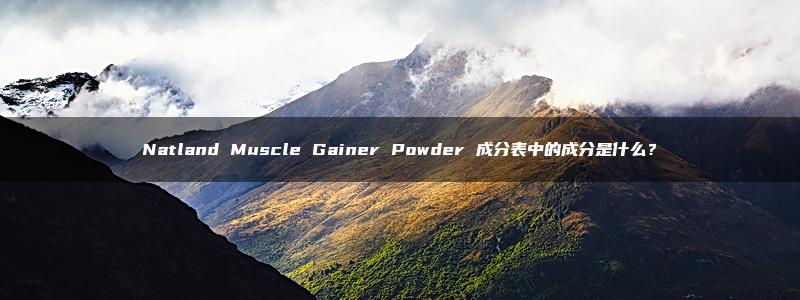 Natland Muscle Gainer Powder 成分表中的成分是什么？