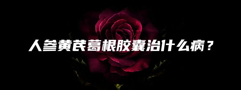 人参黄芪葛根胶囊治什么病？